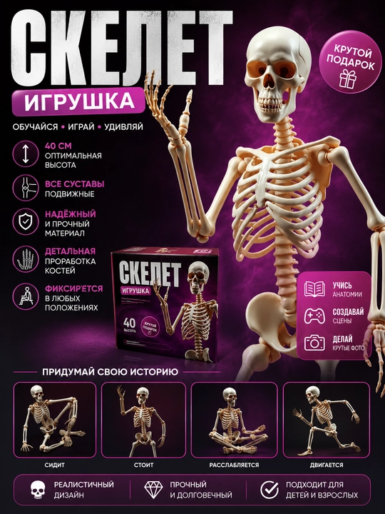 Harakatlanuvchi plastik inson skeleti, osma. O‘lchami 40 sm - 