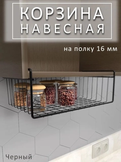 Toʻq koʻk