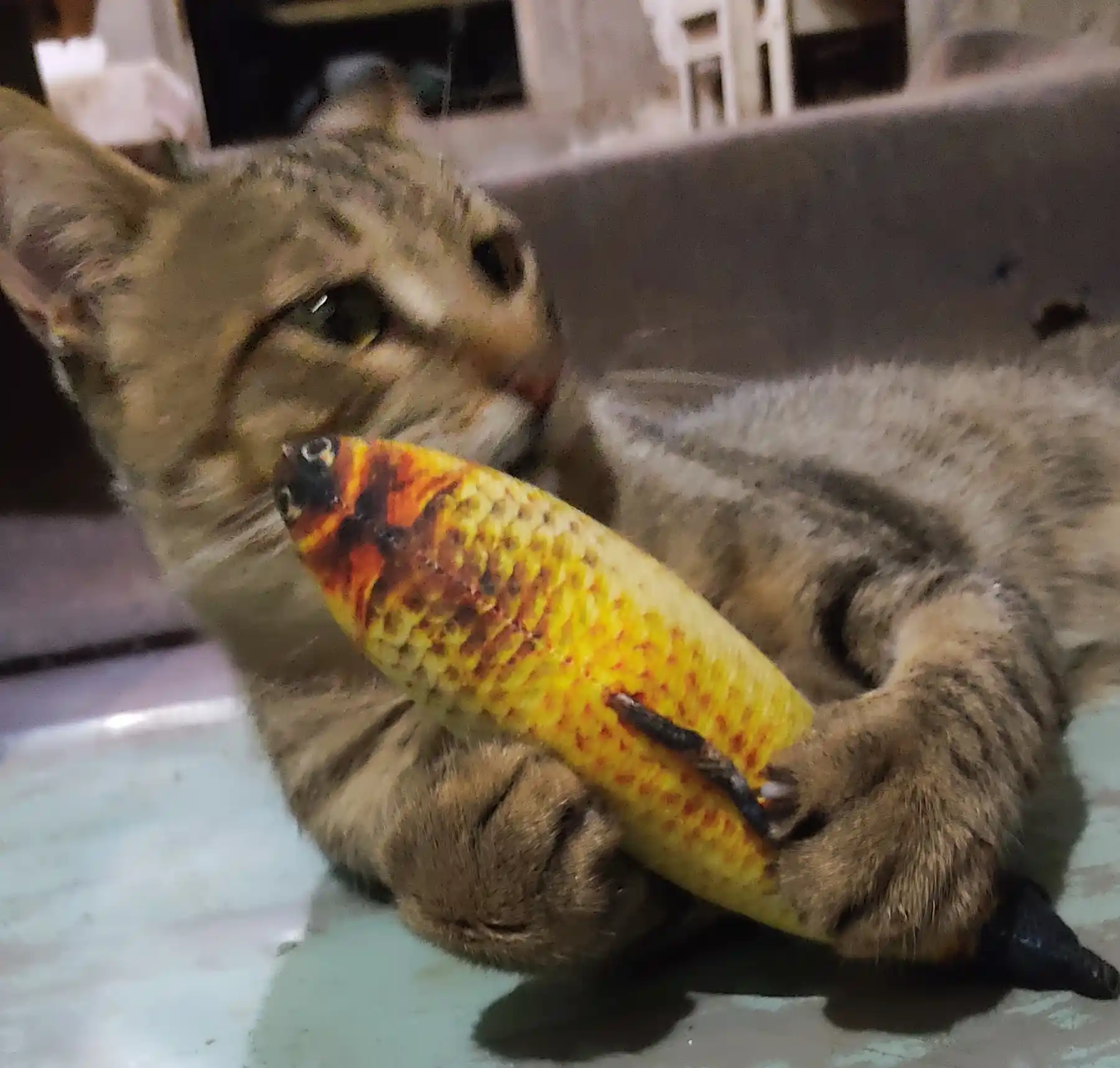 Игрушка для кошек рыбка BOBRIKGORA с кошачьей мятой и валерианой