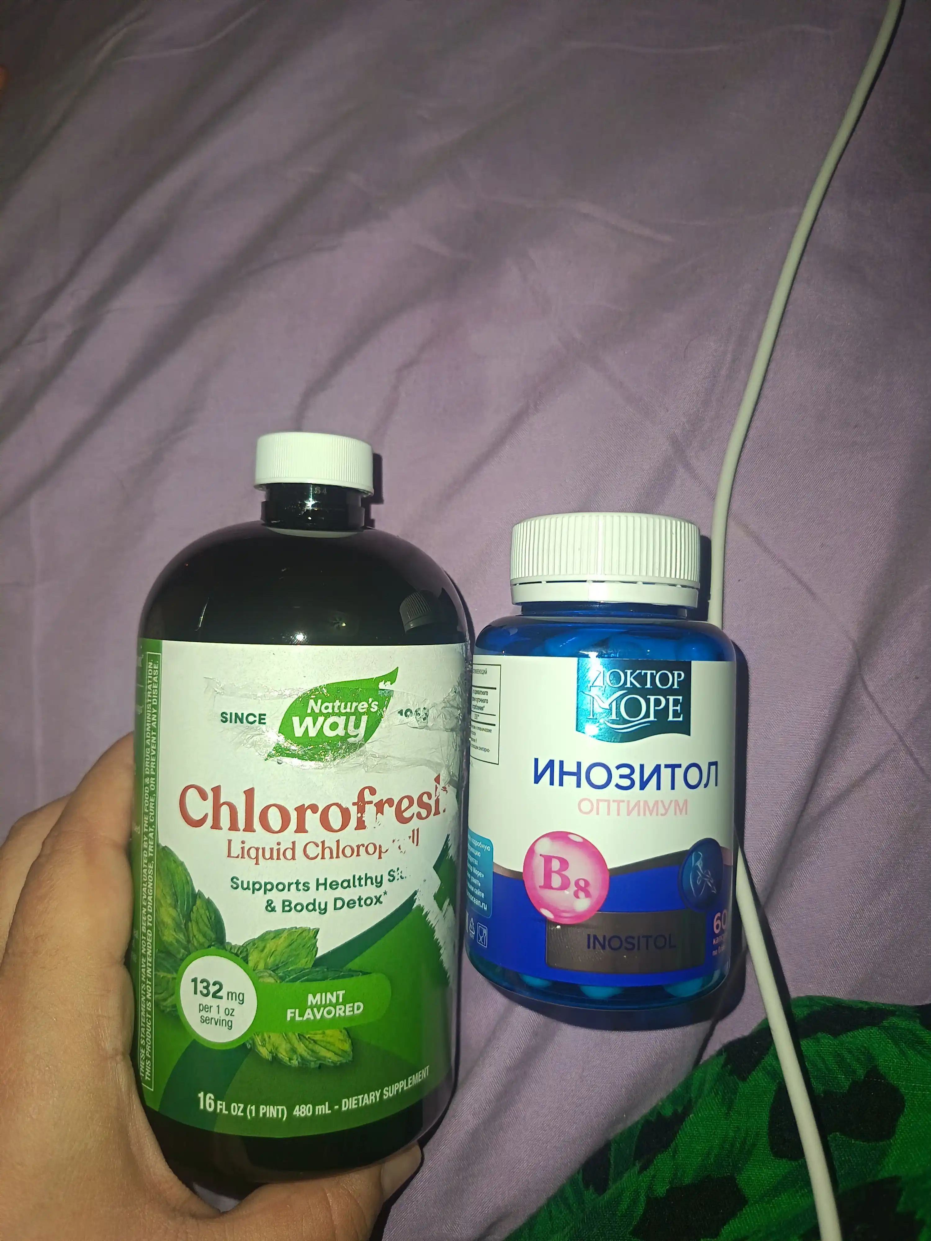Хлорофилл со вкусом мяты, Nature's Way Liquid Chlorofresh, 480 мл