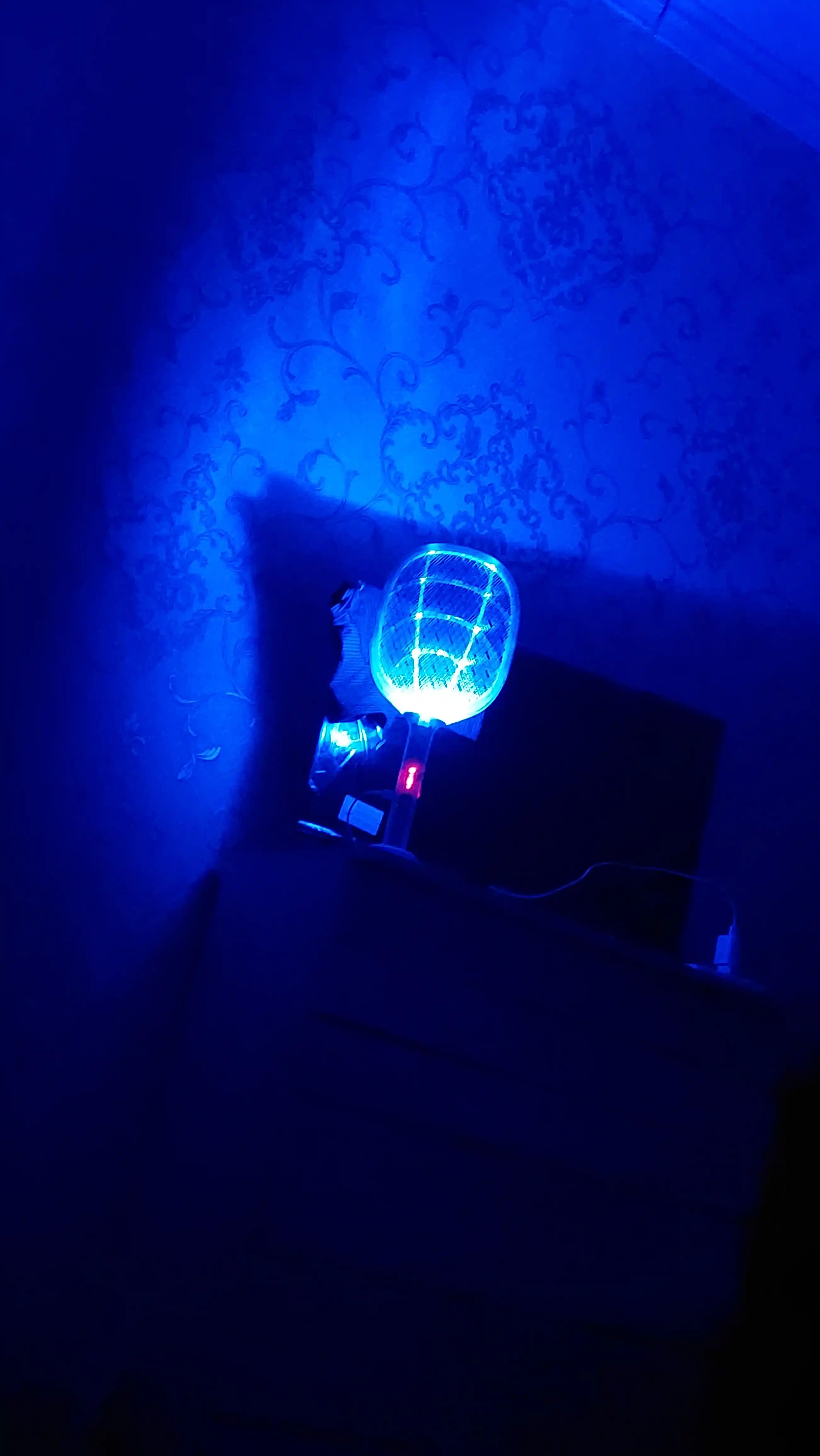 Elektr chivin va pashsha o‘ldirgich raketka 2-in-1, USB zaryadlanuvchi, 1200 mAh, 3000V