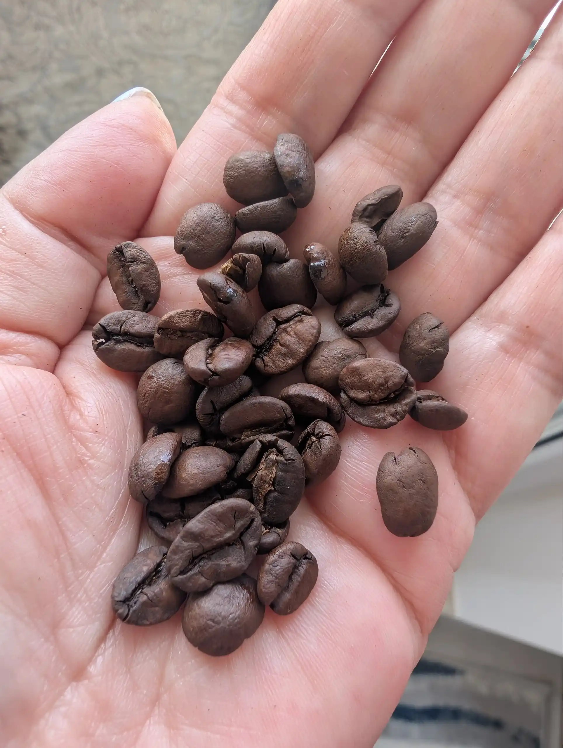 Kofe donlari Biancaffe Espresso Bar Arabica, 500 g, 100% arabika, kam coffein mikdori