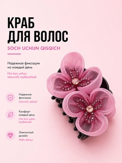 Korall
