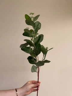 Feruza 