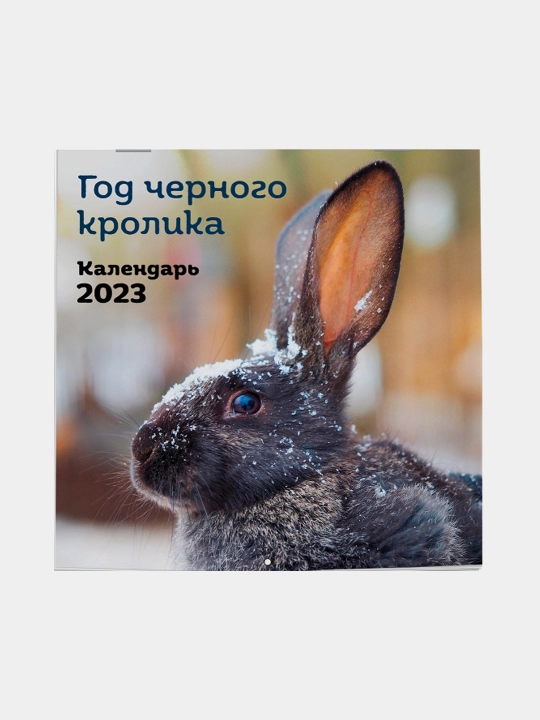 Год черного кролика. Календарь настенный на 2023 год 300 * 300 - 