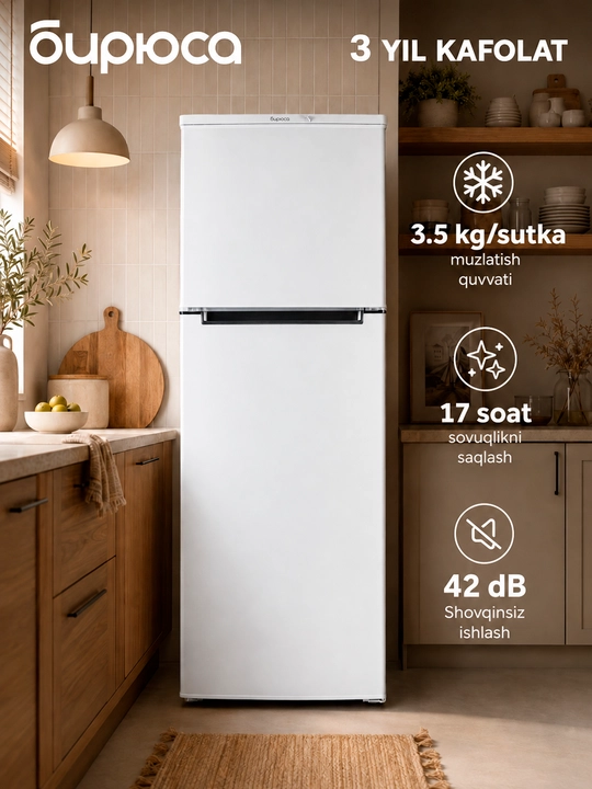 Ikki kamerali sovutgich Biryusa 553, hajmi 230 litr