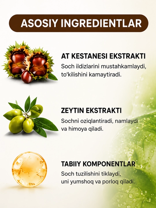ERSAG Kashtan va Zaytunli Shampun 300 ml – Soch Parvarishi va Mustahkamlovchi Shampun