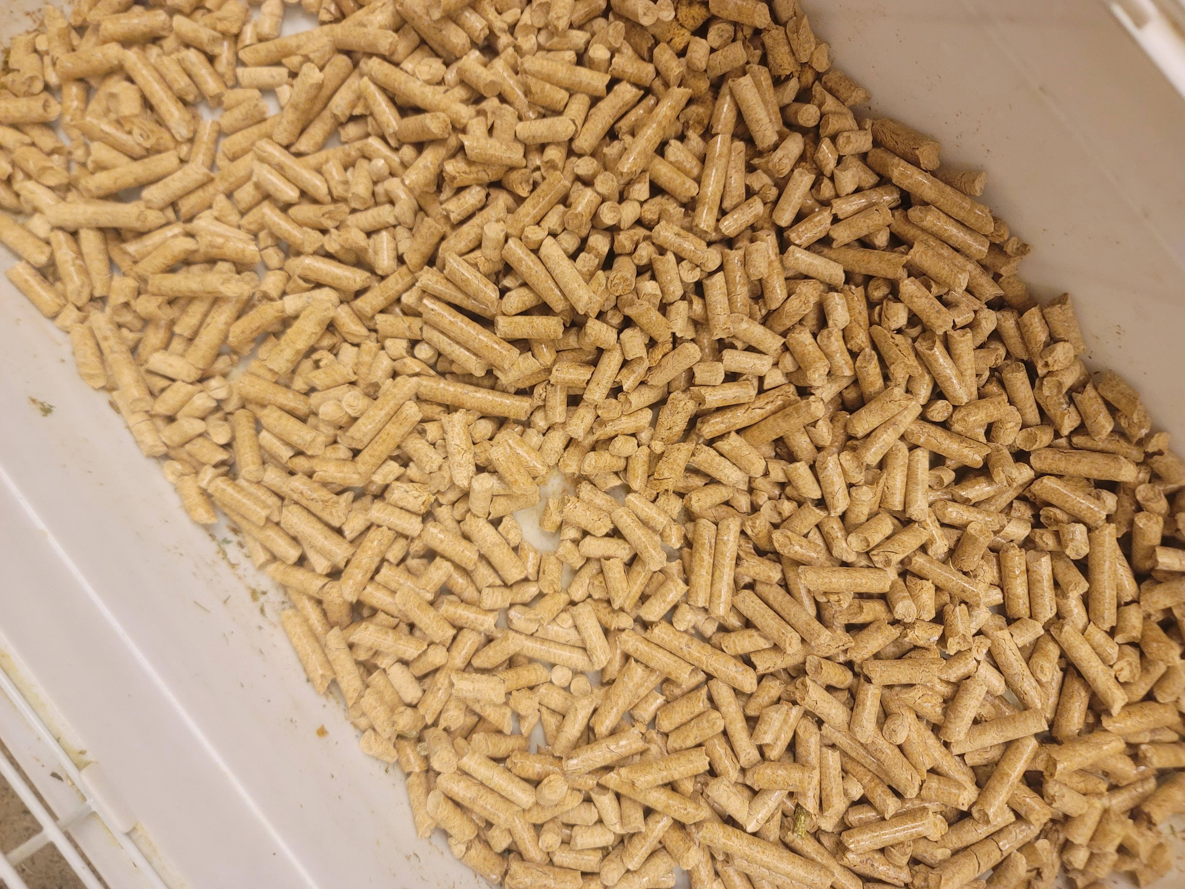 Yog'ochli to'ldirgichi (2 kg) — 100% Eko-himoya va tozalik