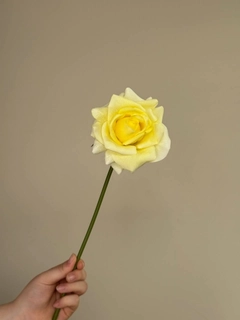 Limon rang