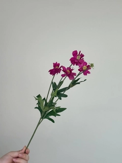 Marsala