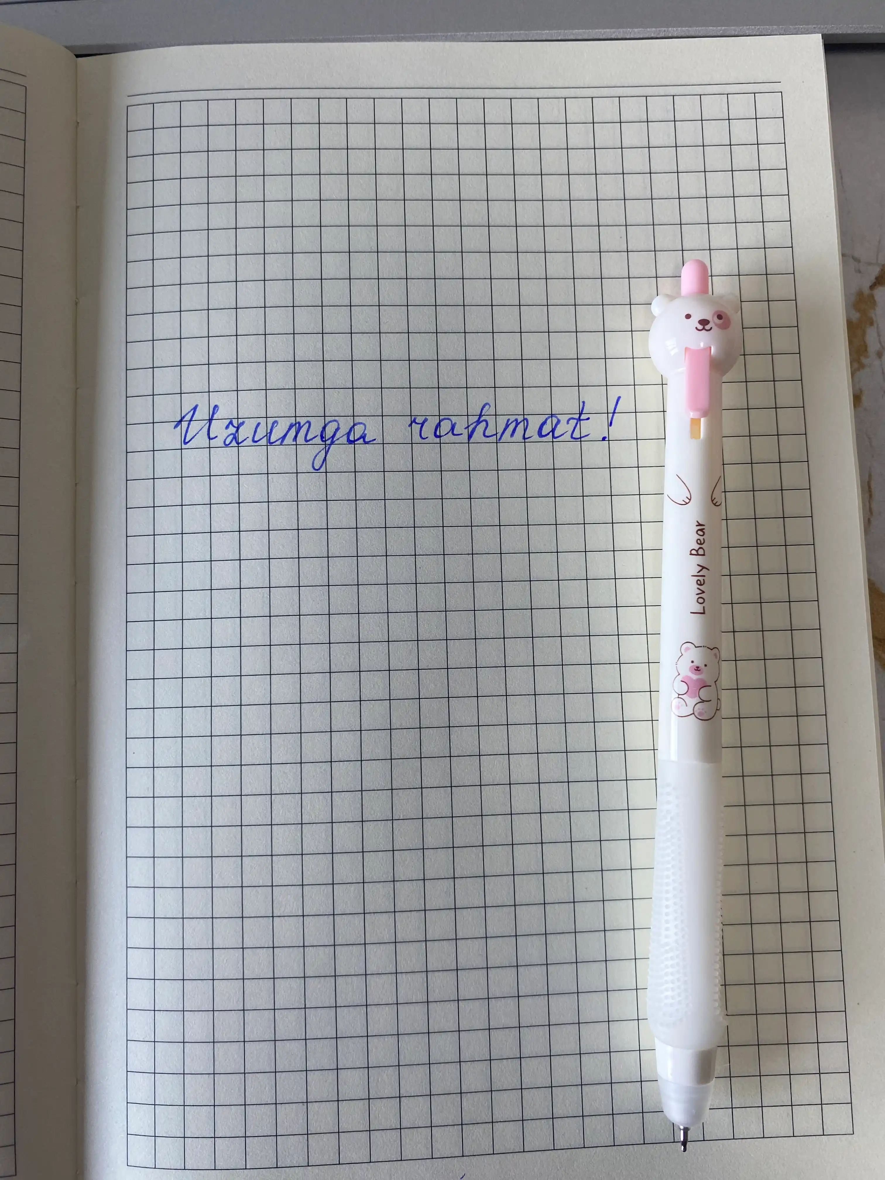 Ручкa, 0,5 мм Lovely Bear набор ручек ,cтираемые ручки набор из 2, 4, 6, 12 шт