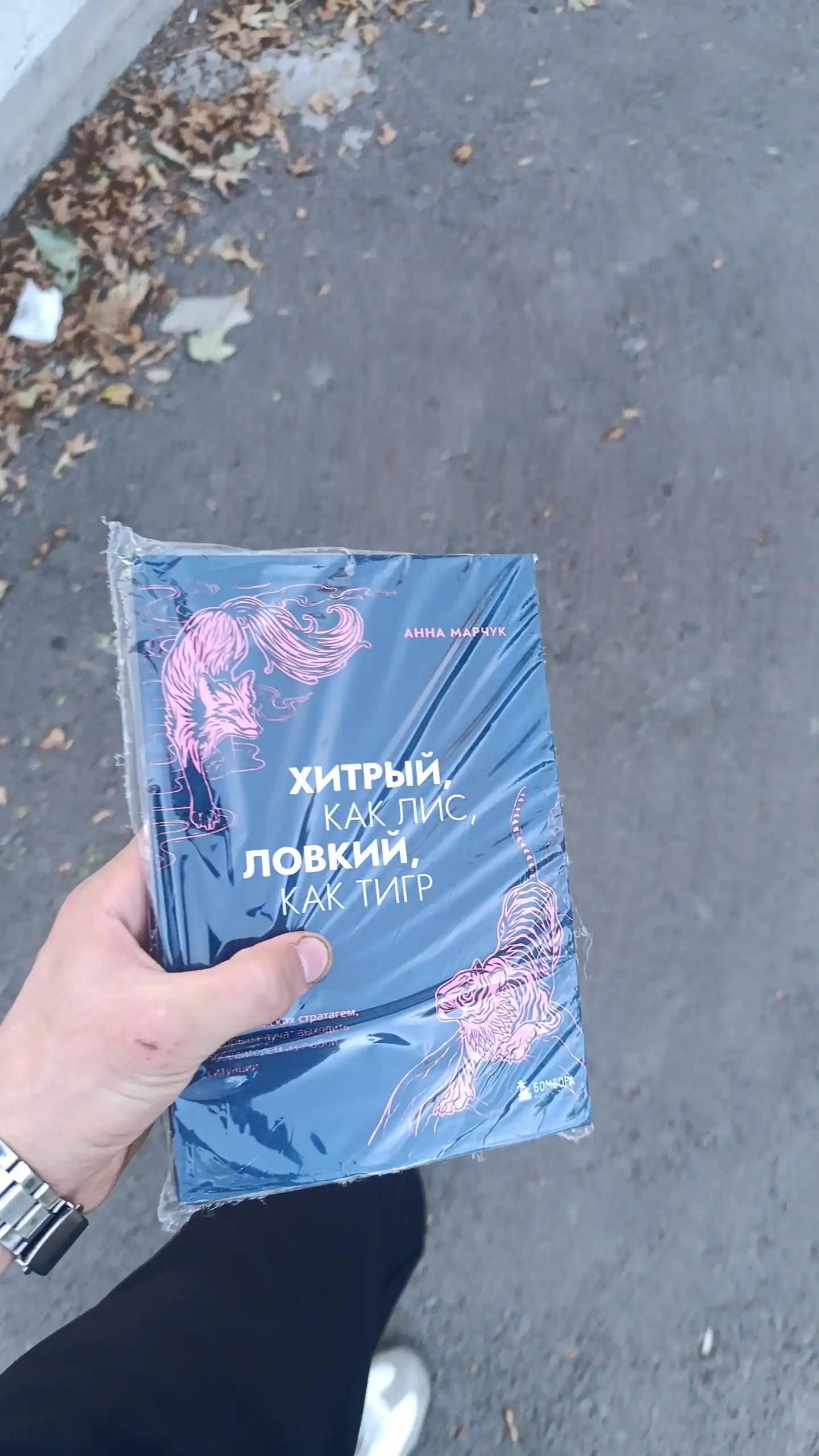 Хитрый, как лис, ловкий, как тигр, Анна Марчук