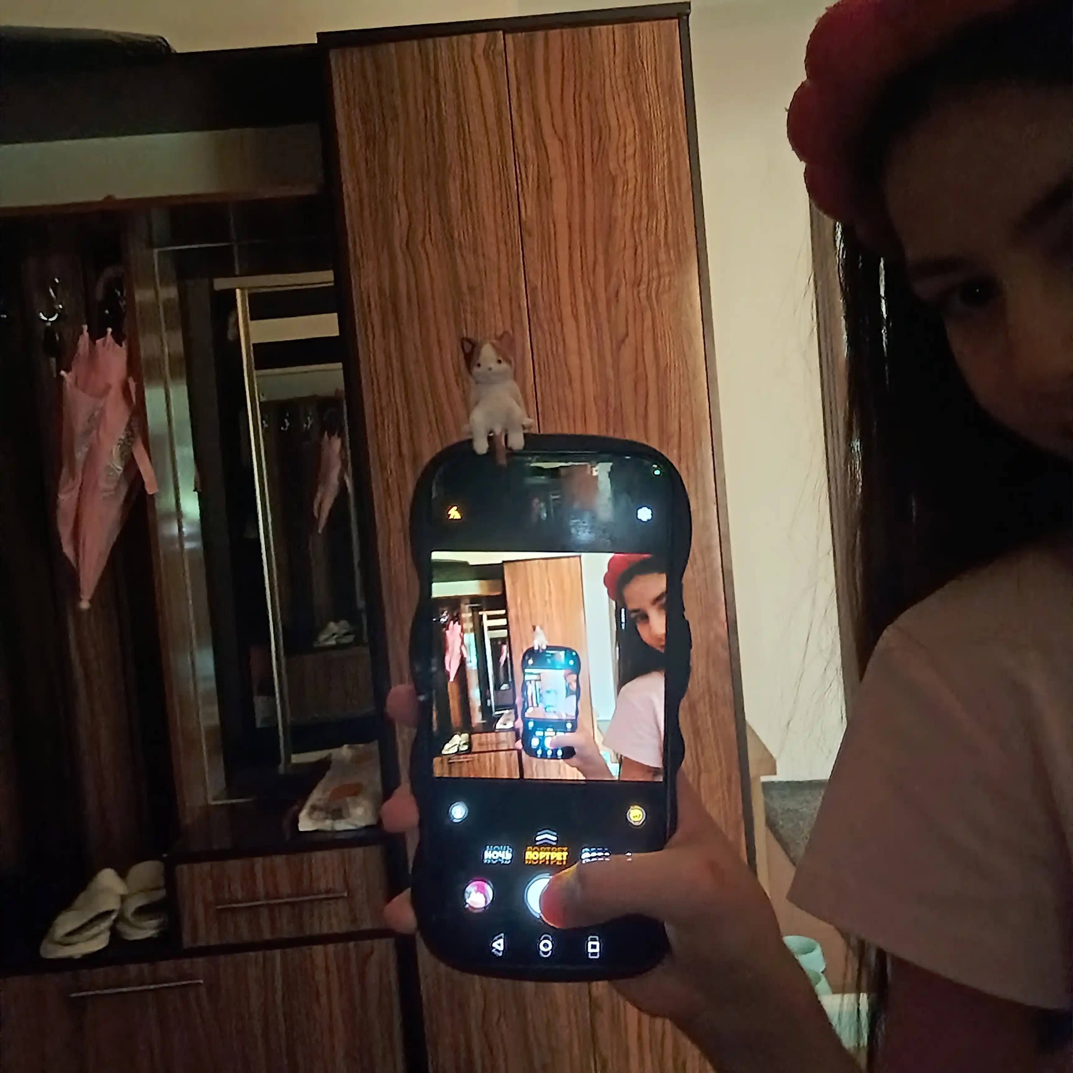Telefon uchun ilgak Yopishqoq mushukchalar, 1 ta tasodifiy o‘yinchoq