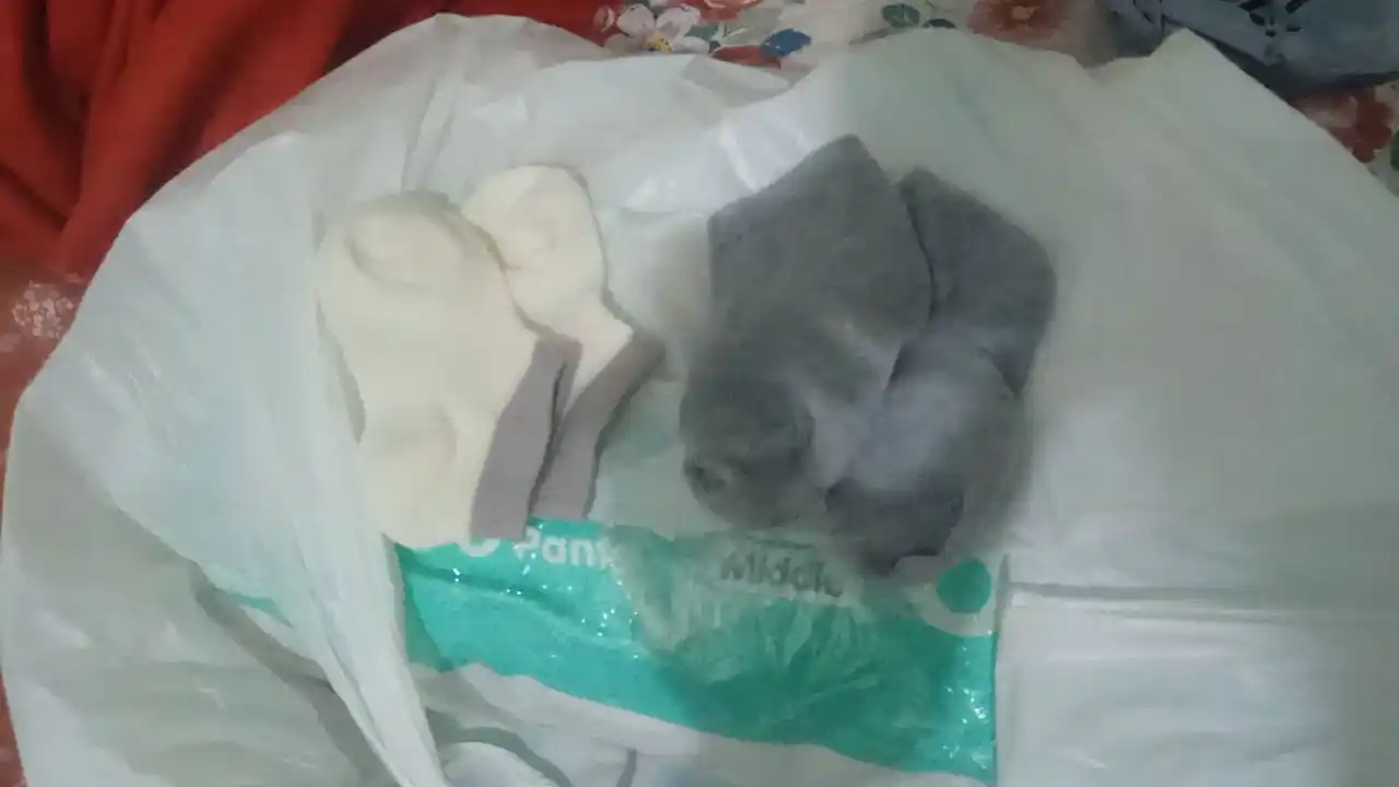 Bolalar paypoqlari 3-4 juft,  paxtali tasodifiy dizayn o‘g‘il bolalar va qizlarga