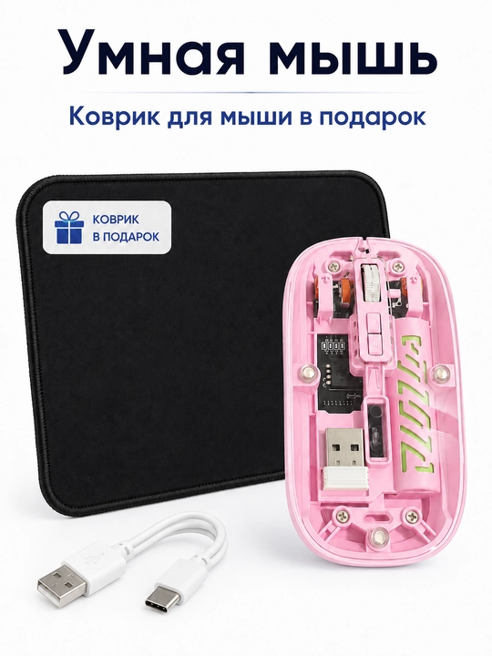 Aqlli sichqoncha, sichqoncha tagligi sovg‘a - 