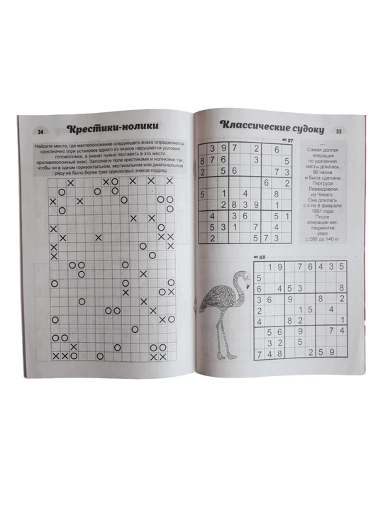 Yengil sudoku mini-jurnali - rus tilidagi yangi boshlovchilar uchun oddiy sudokular