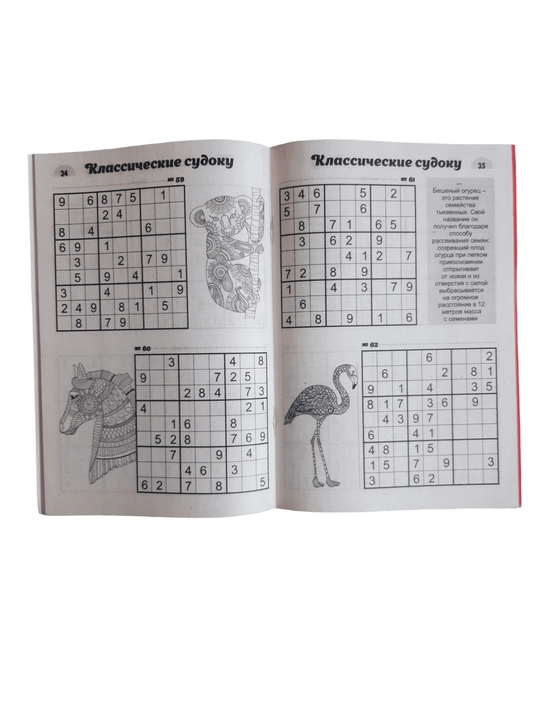 Yengil sudoku mini-jurnali - rus tilidagi yangi boshlovchilar uchun oddiy sudokular