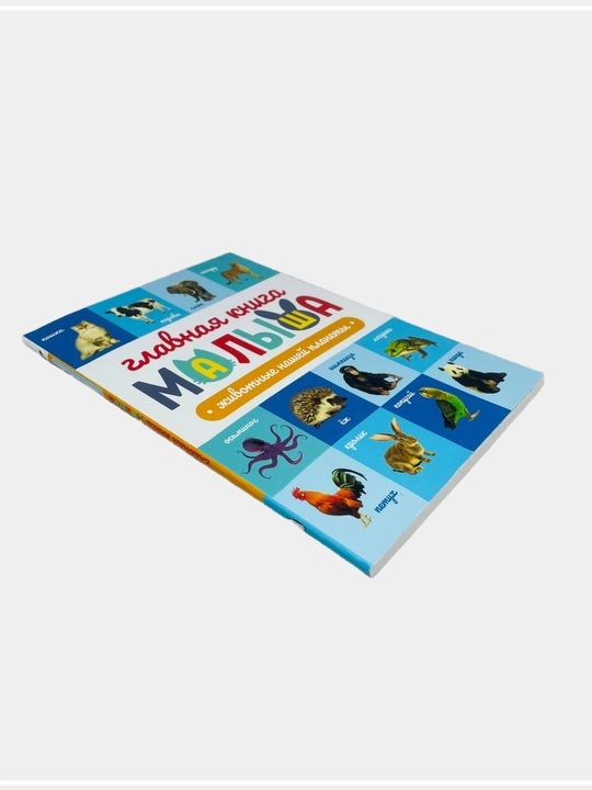 Главная книга малыша