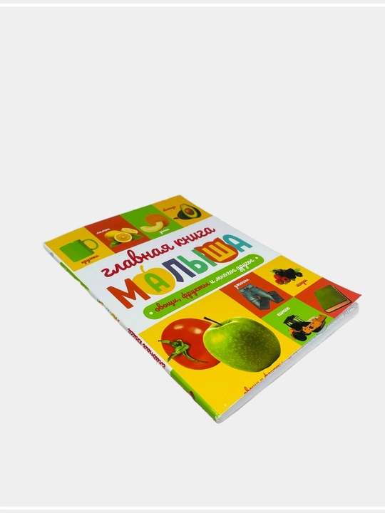 Главная книга малыша