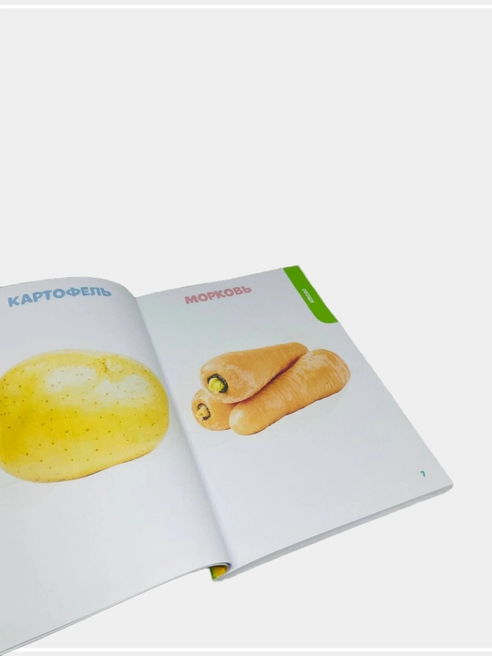 Главная книга малыша