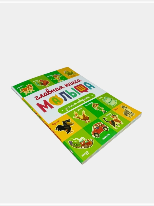 Главная книга малыша