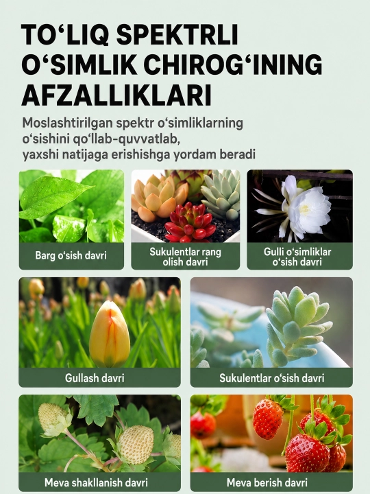 O‘simliklar uchun LED fitolampa, to‘liq spektrli chiroq, o‘sishni qo‘llab-quvvatlash uchun