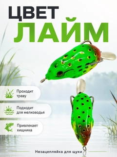 Лайм