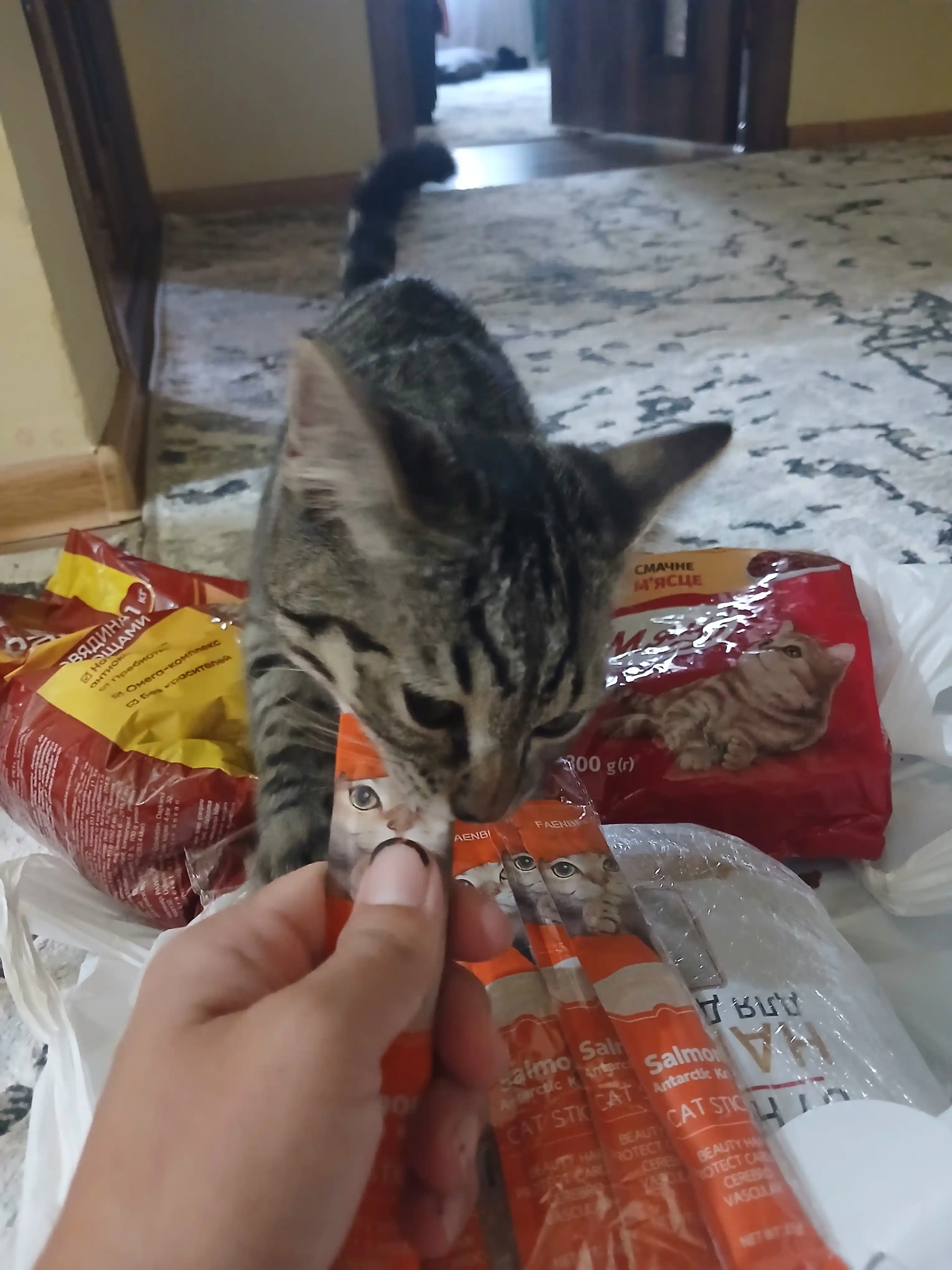 Влажный корм для кошек FAENBEI, с высоким содержанием белка, 10 шт