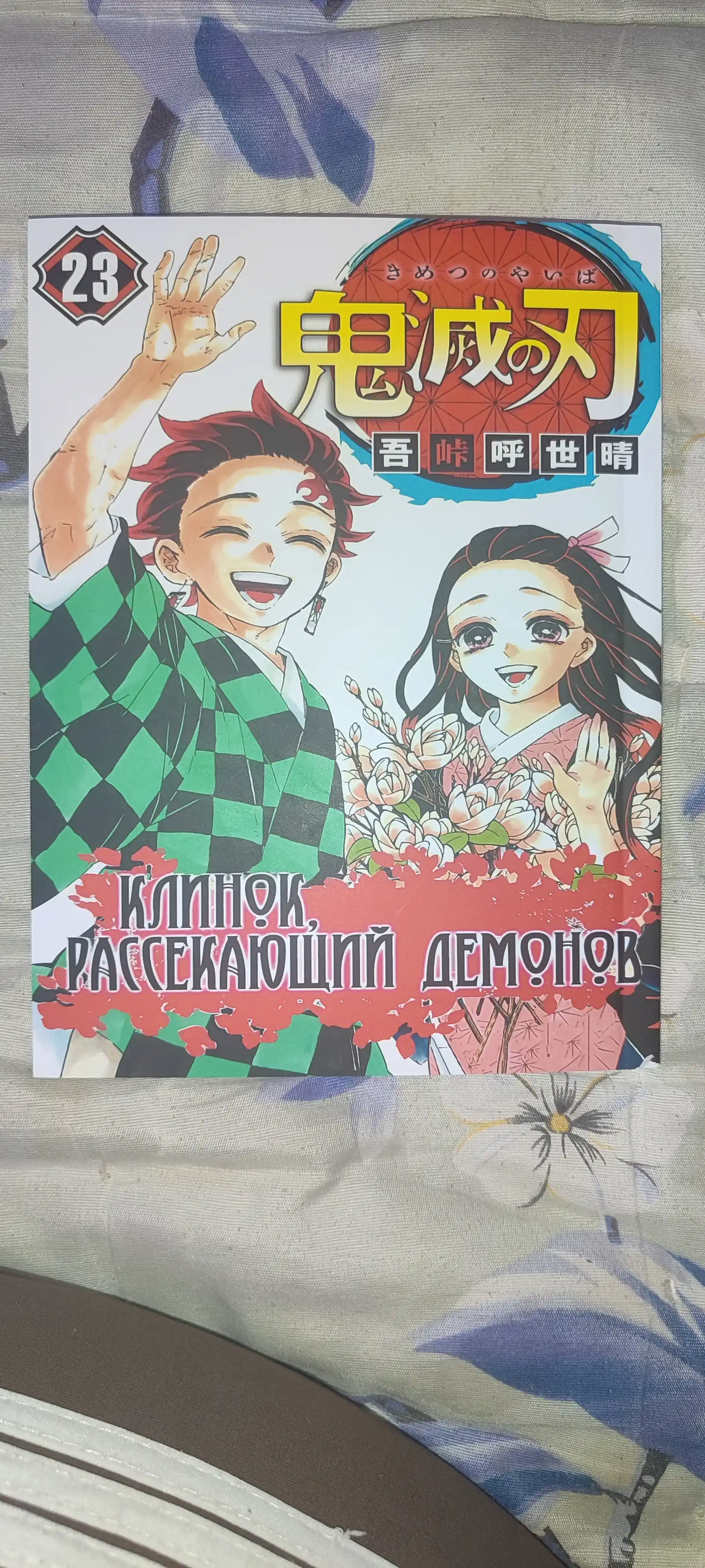 Манга Клинок, рассекающий демонов, 23 том