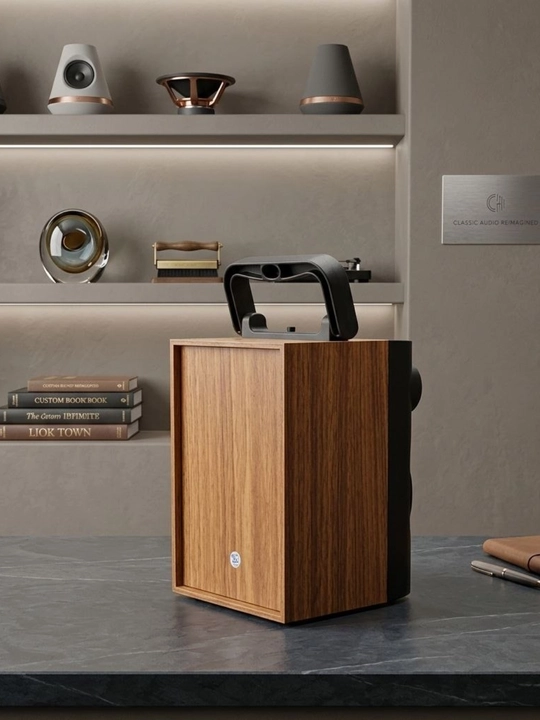 Portativ Bluetooth karnay, 8 dyuym, simsiz, mikrofonli, USB/AUX/TF, 3000 mA·soat