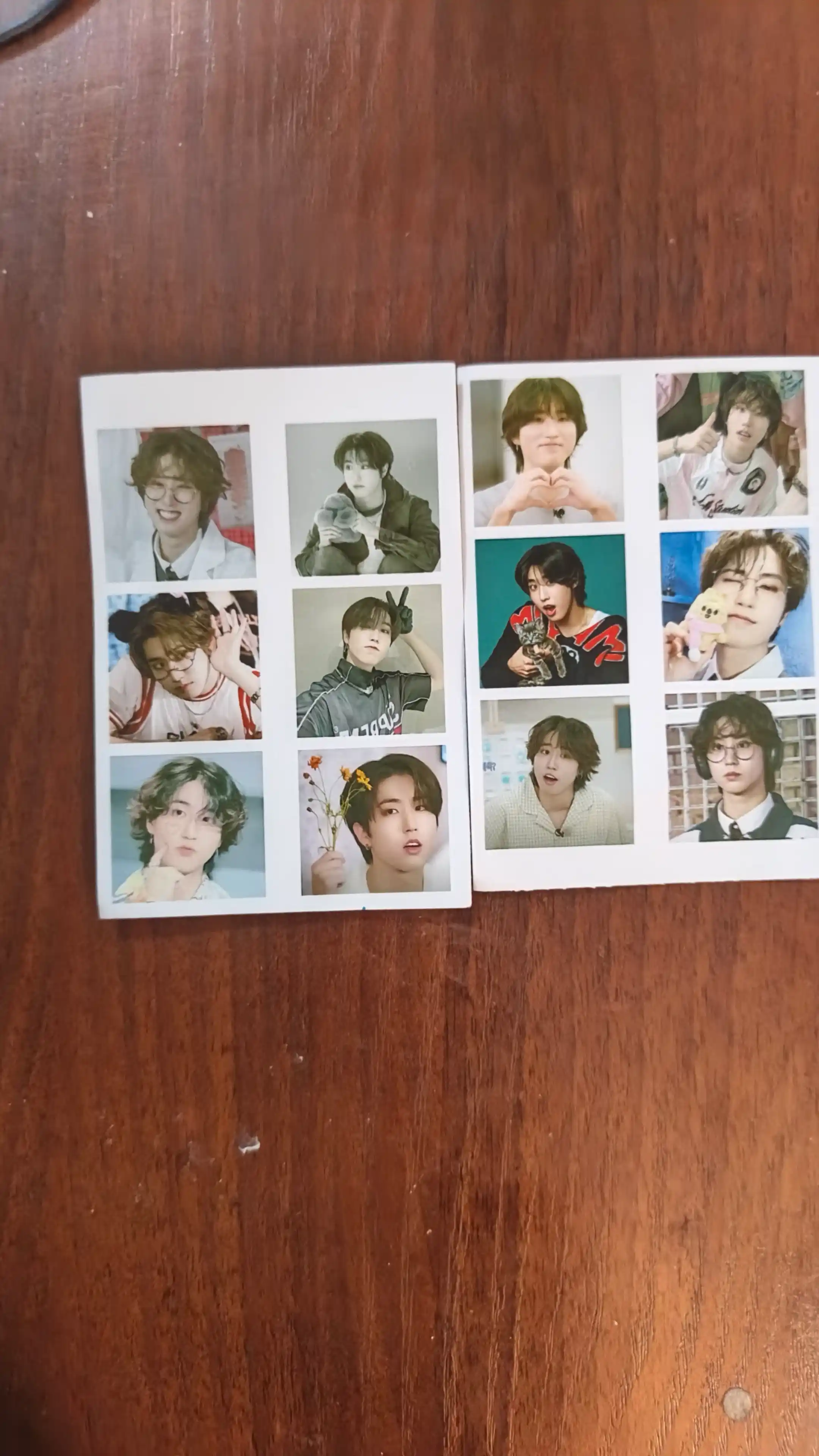 Стикеры Stray kids 12шт