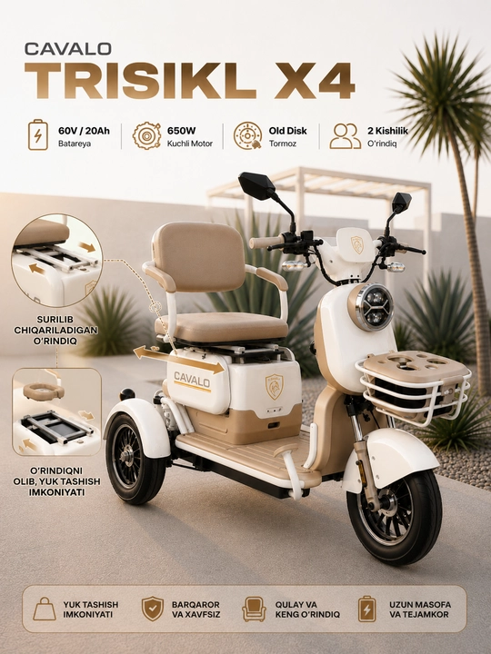 Скутер Trisikl X4 - 