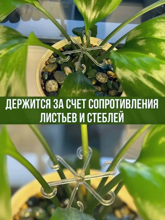 Опора для комнатных растений 4 штуки, прозрачная 