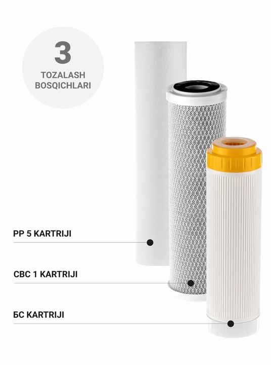 Qattiq suv uchun Geyzer Akvastandart 10SL filtrlari uchun qasmoqdan himoya qiladi