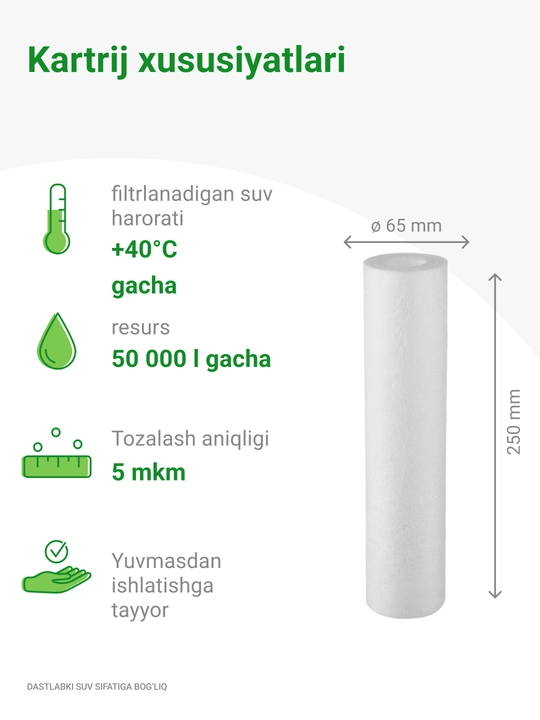 Qattiq suv uchun Geyzer Akvastandart 10SL filtrlari uchun qasmoqdan himoya qiladi