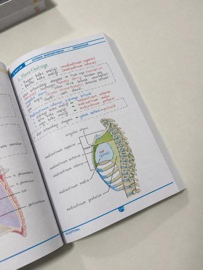 Tibbiyot kitobi, MEDoptimal anatomiya, tibbiyot talabalari uchun darslik, qo‘llanma