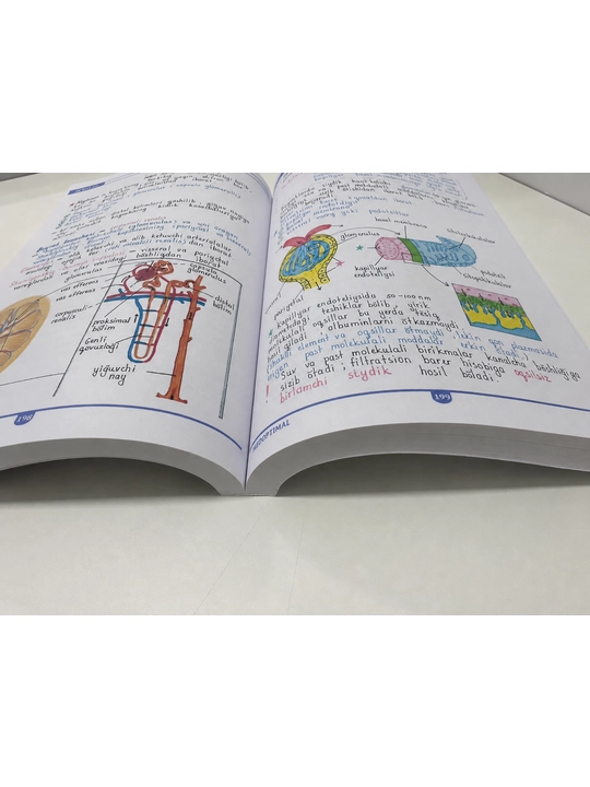 Tibbiyot kitobi, MEDoptimal anatomiya, tibbiyot talabalari uchun darslik, qo‘llanma