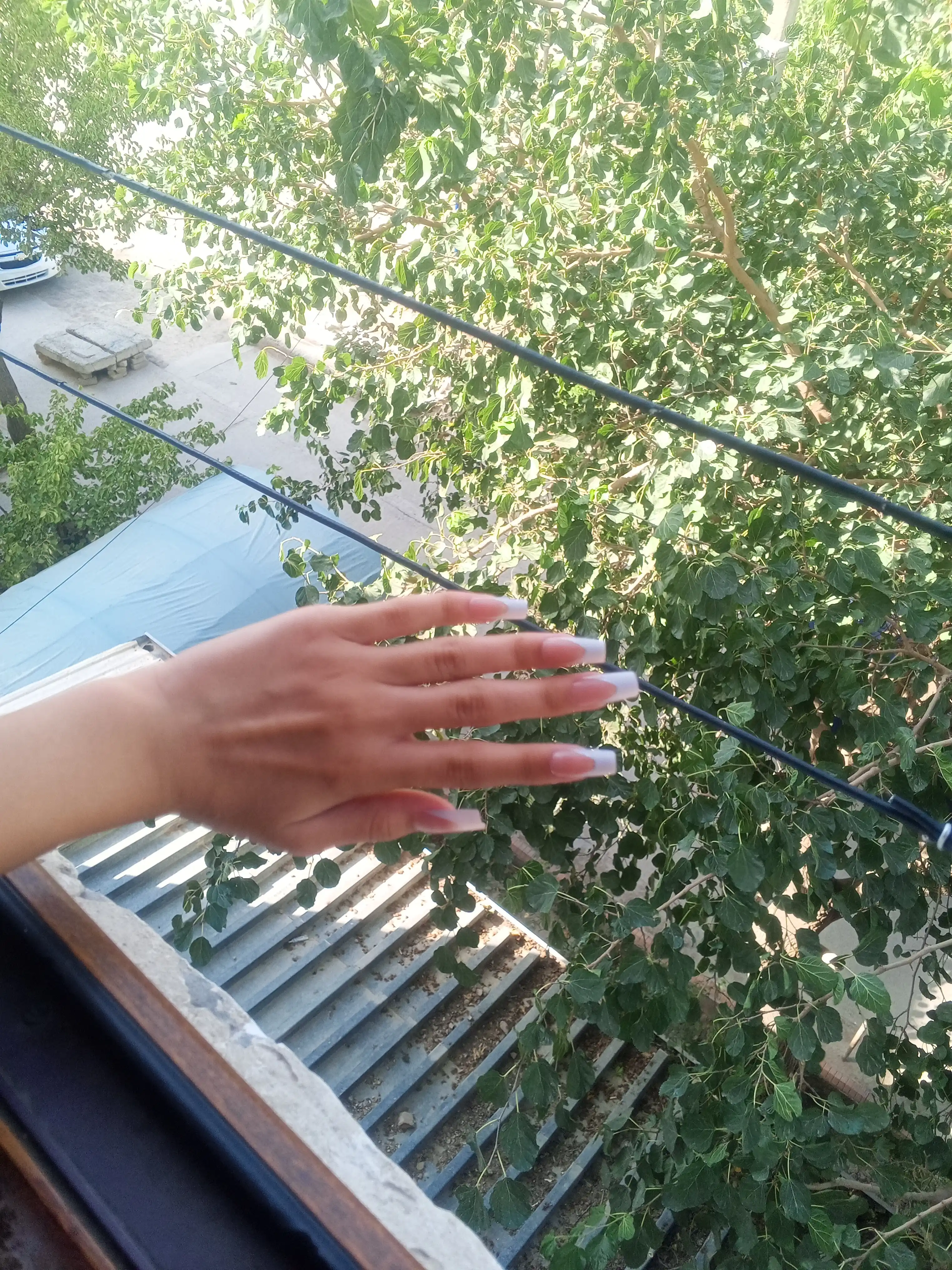 Naqshli tirnoqlar dizayni bilan, 24 dona, manikyur, french