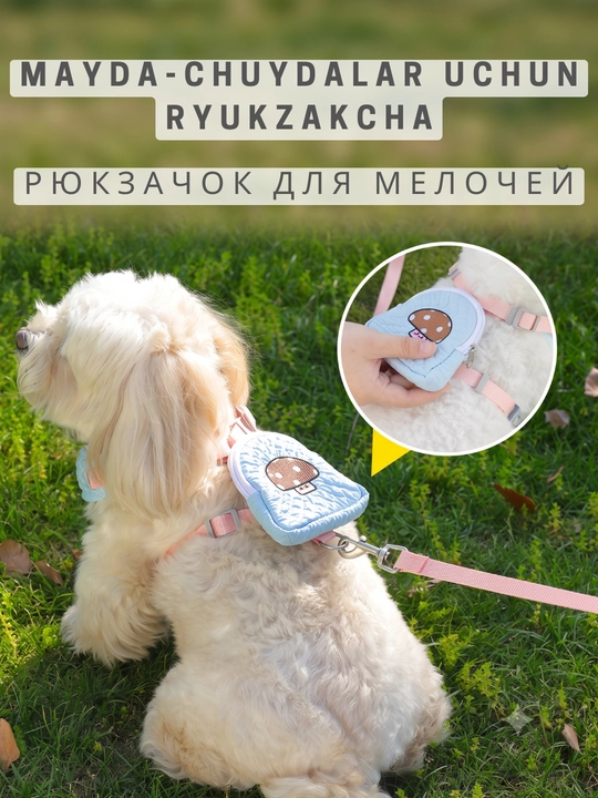 Kichik itlar va mushuklar uchun Kimpets anatomik shleykasi yetak va mini-ryukzak bilan