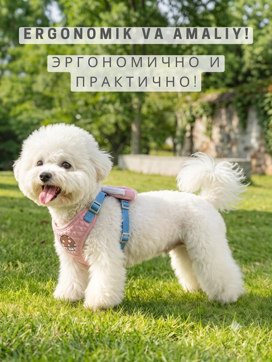 Kichik itlar va mushuklar uchun Kimpets anatomik shleykasi yetak va mini-ryukzak bilan