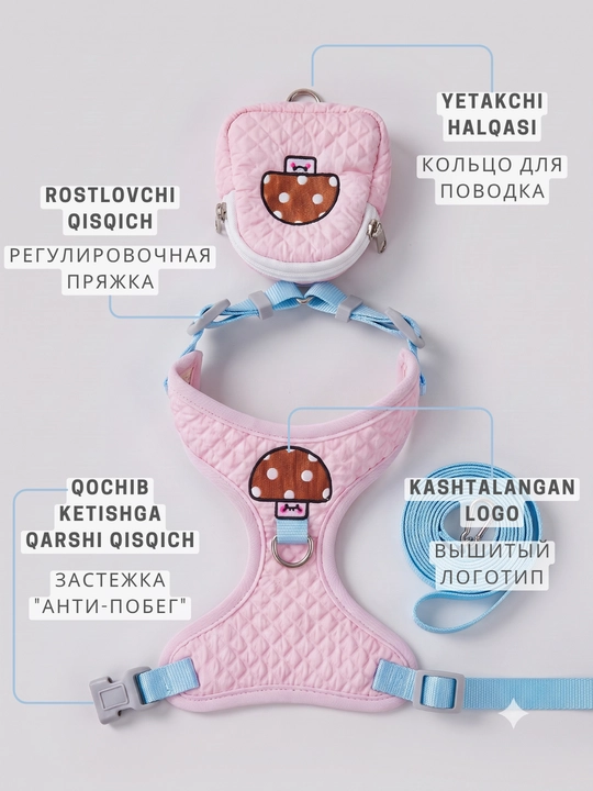Kichik itlar va mushuklar uchun Kimpets anatomik shleykasi yetak va mini-ryukzak bilan