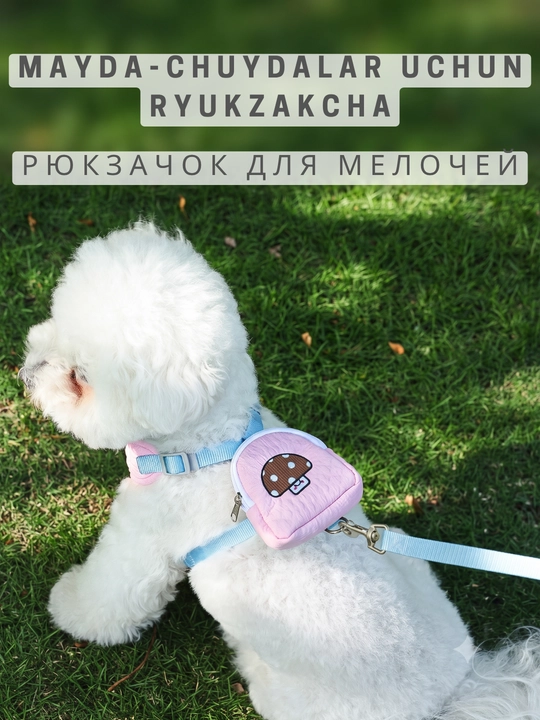 Kichik itlar va mushuklar uchun Kimpets anatomik shleykasi yetak va mini-ryukzak bilan