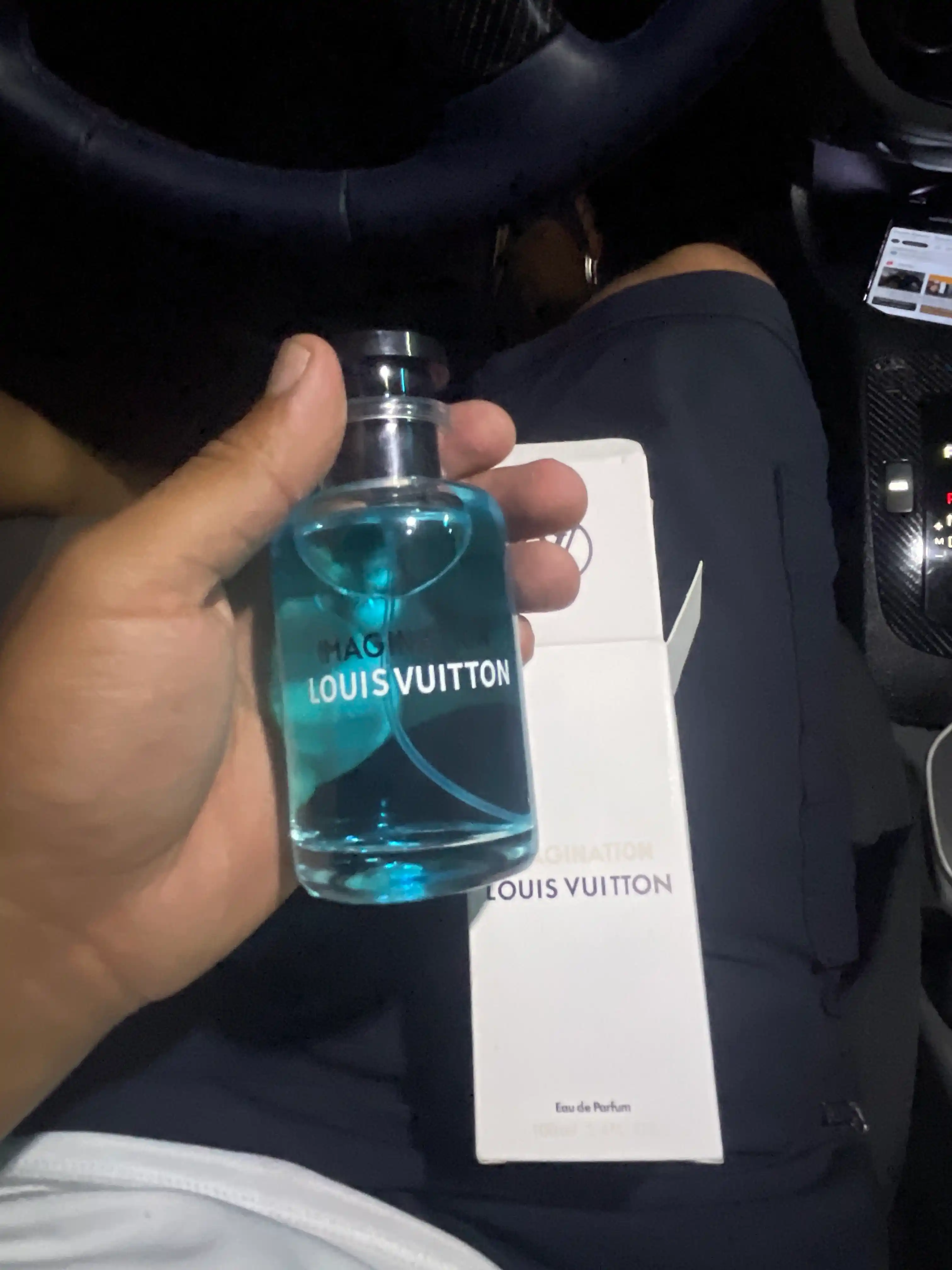 Парфюмерная вода для мужчин Louis Vuitton Imagination, 100 мл