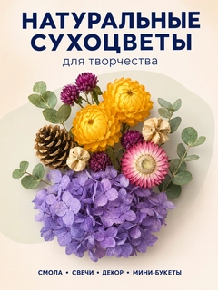 Lavanda