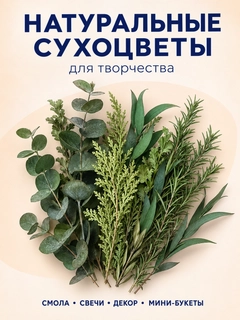 Zaytun