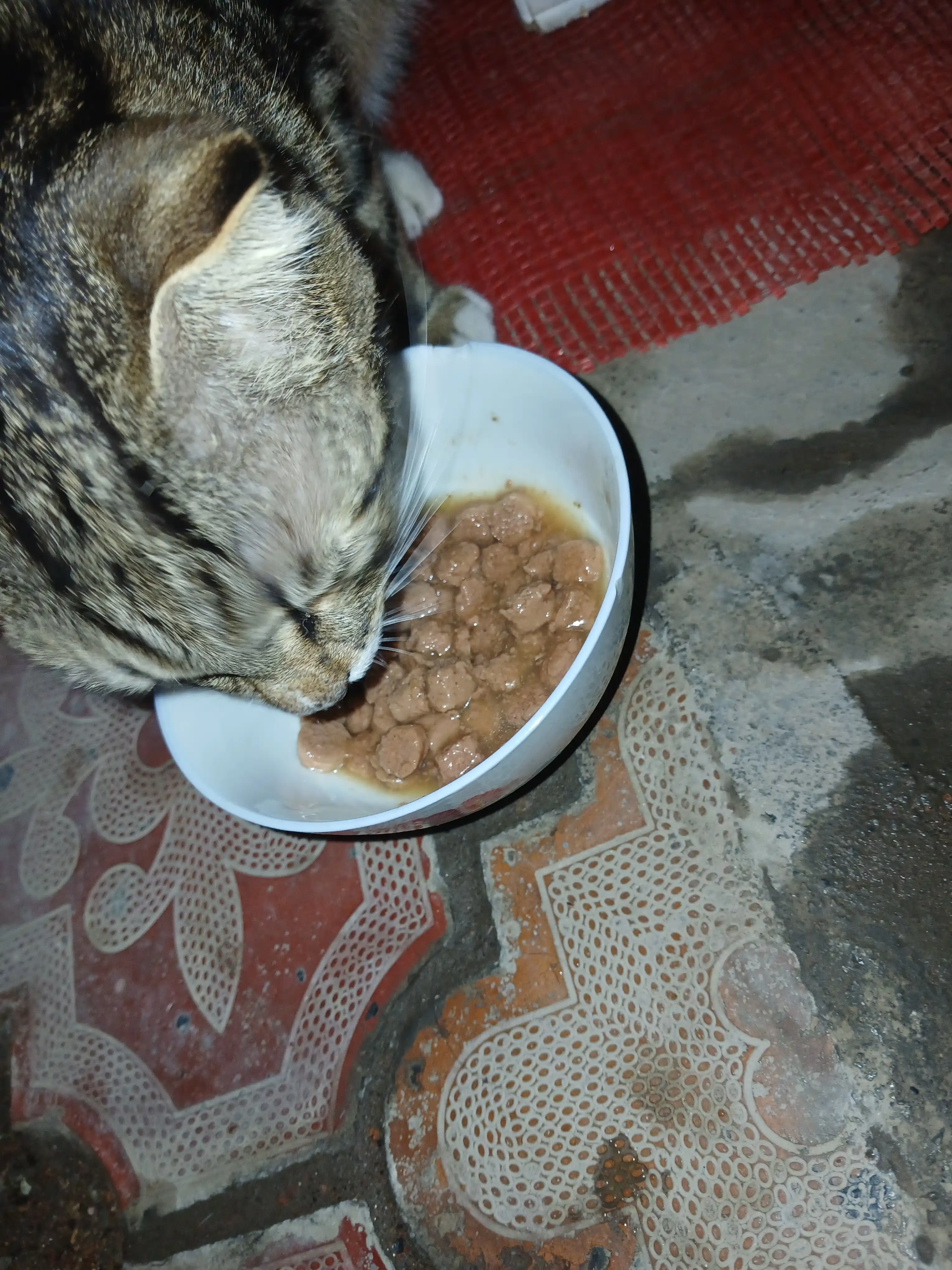 Moor mushuklar uchun nam yem assorti jeledagi mol va tovuq go‘shtli 75 gr 5 dona