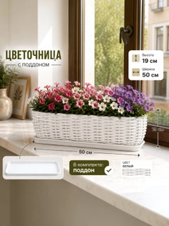 Белый