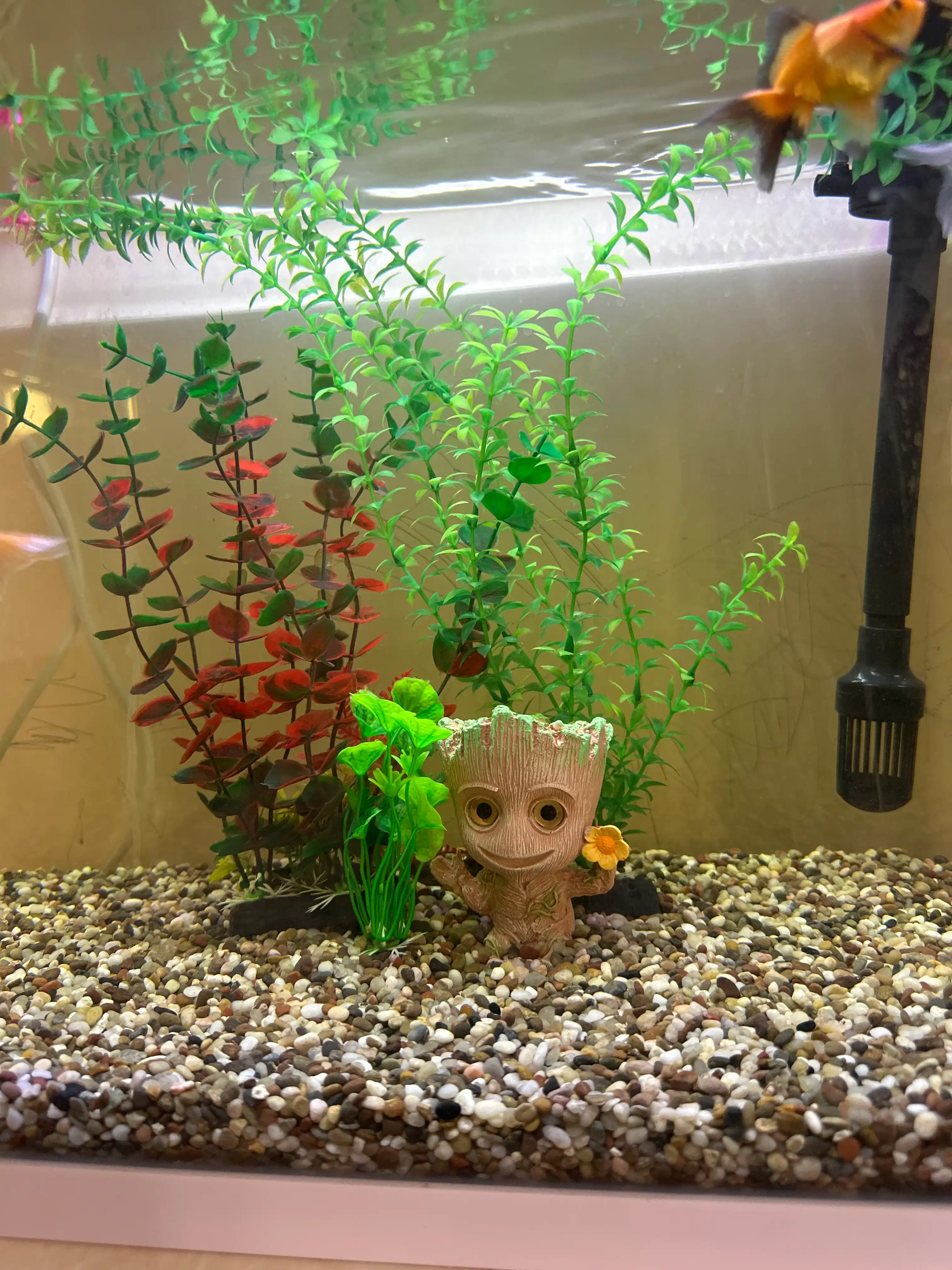 Akvarium uchun tabiiy grunt “Miks Premium” 5 mm, dekorativ tosh, baliqlar uchun xavfsiz