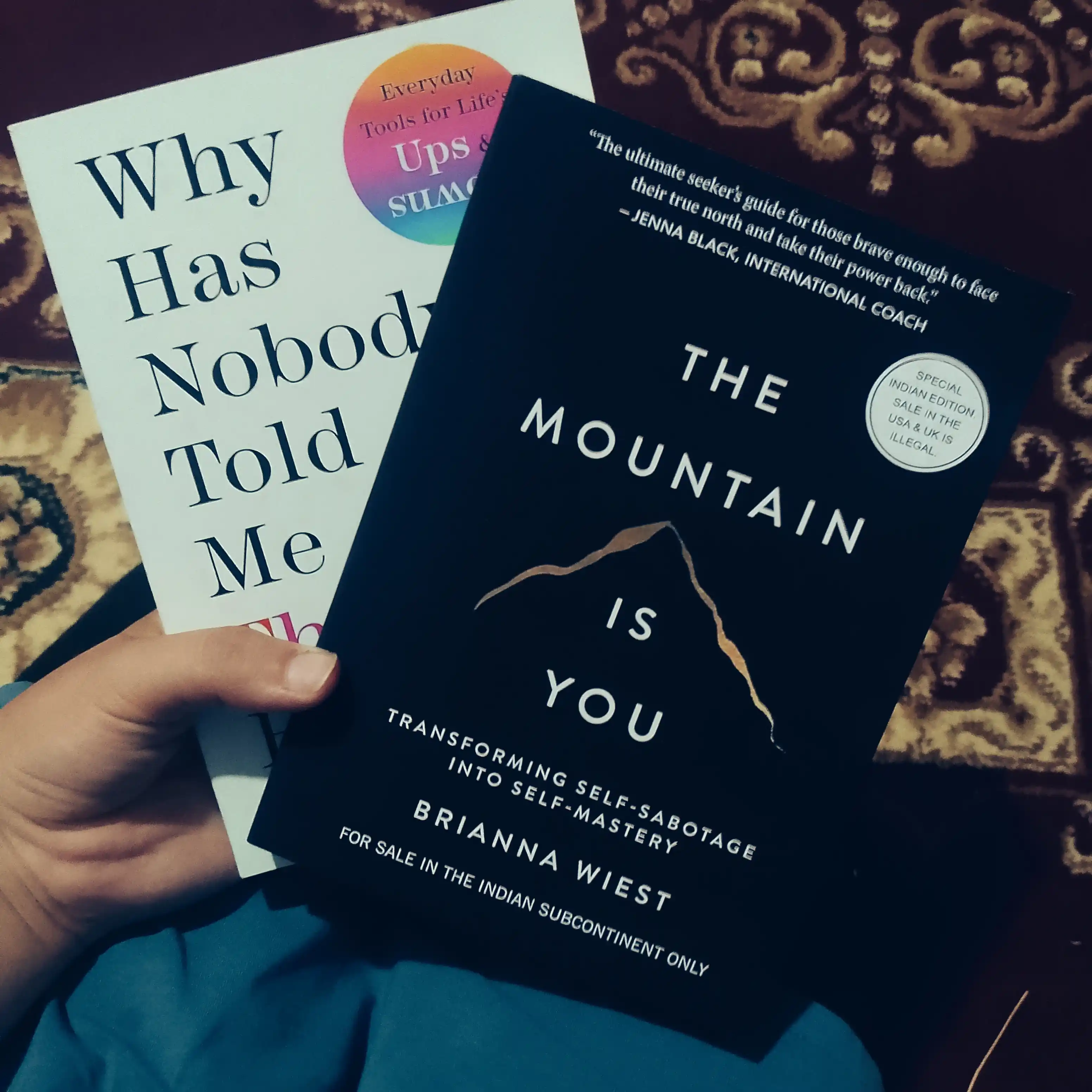 The Mountain is you - Brianna Wiest