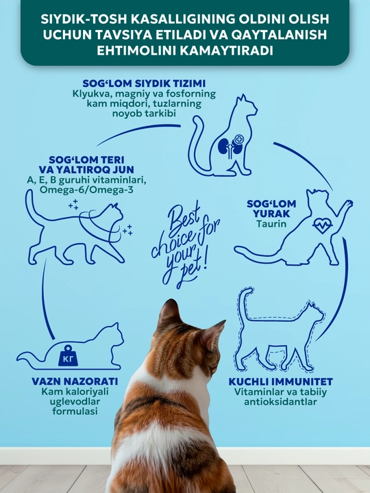 Корм сухой для кошек «PET’S BRUNCH URINARY» для профилактики мочекаменной болезни
